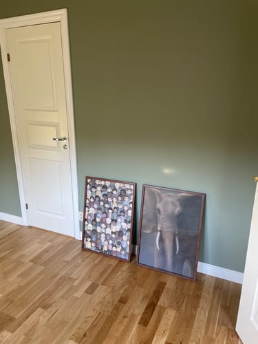 Customer photo review of Afrikanska skogselefanten