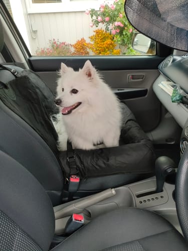 Customer photo review of Car Seat Cover