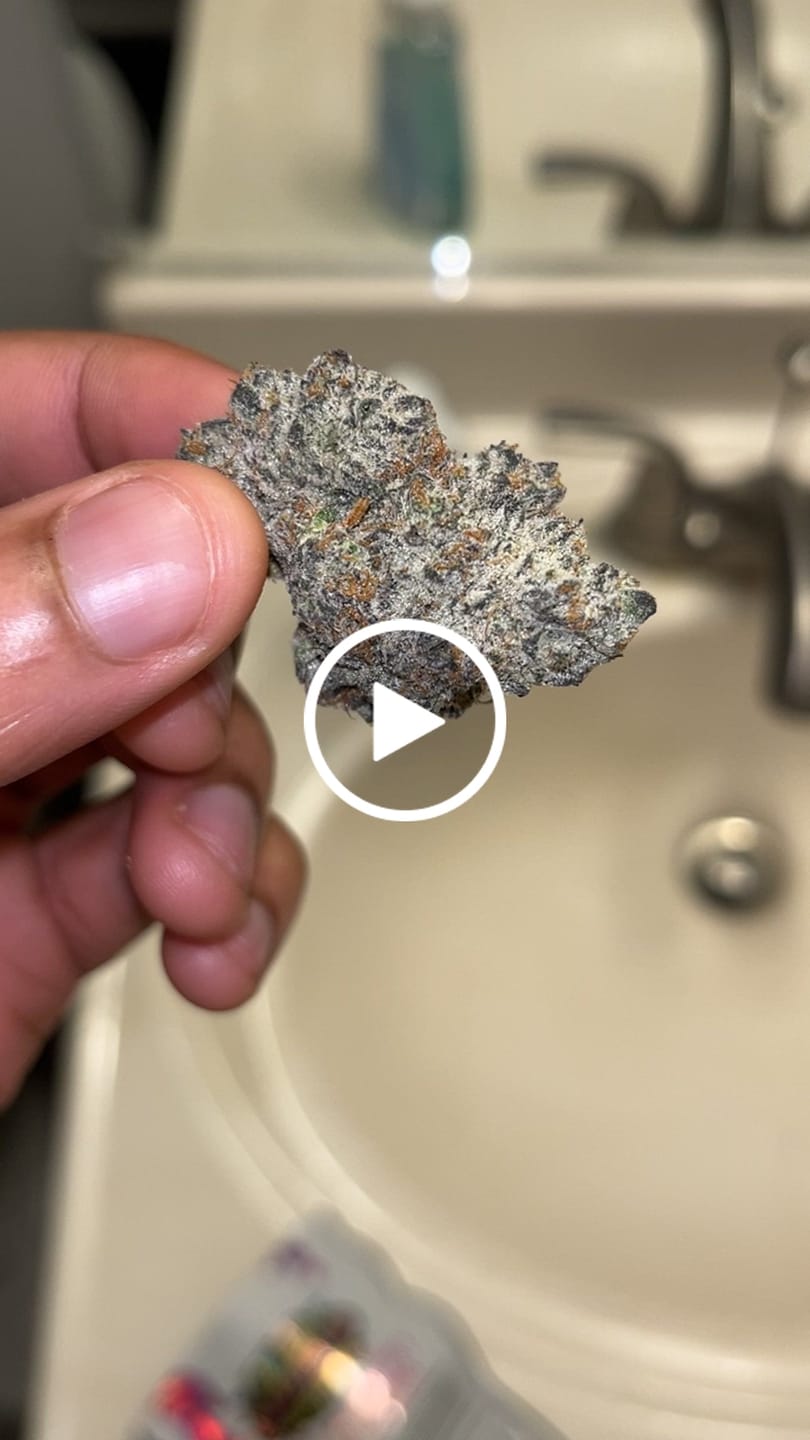 Customer video review of Greenhouse Flower