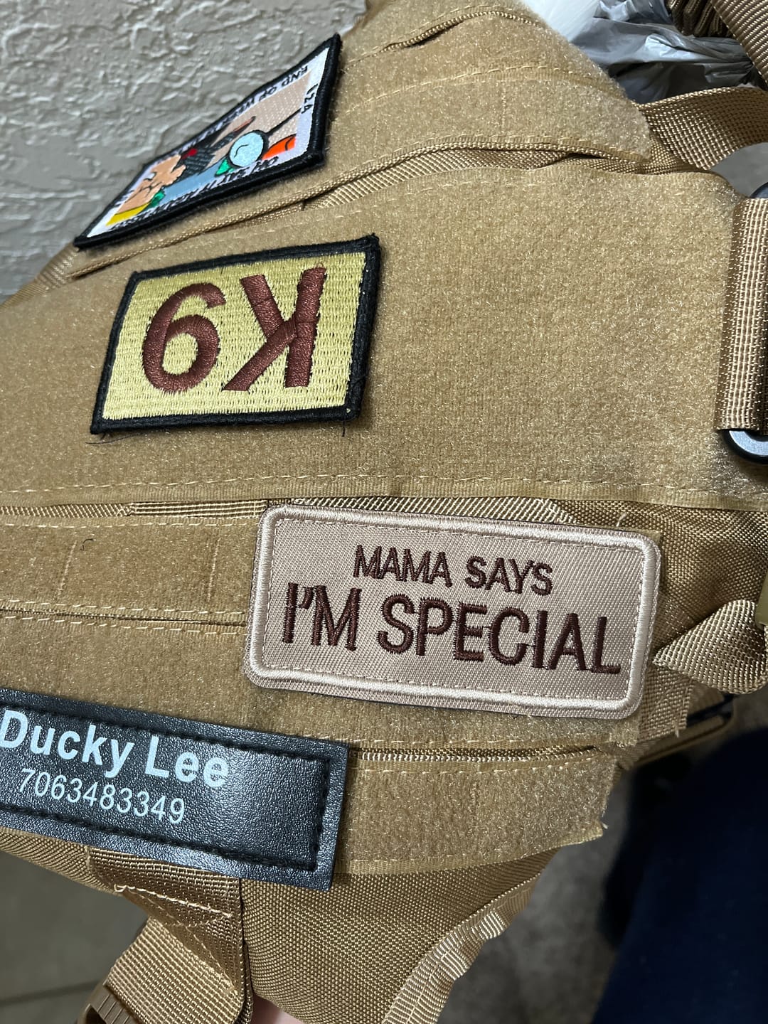 Customer photo review of 'Mama Says I'm Special' Hook & Loop Patch For Harness