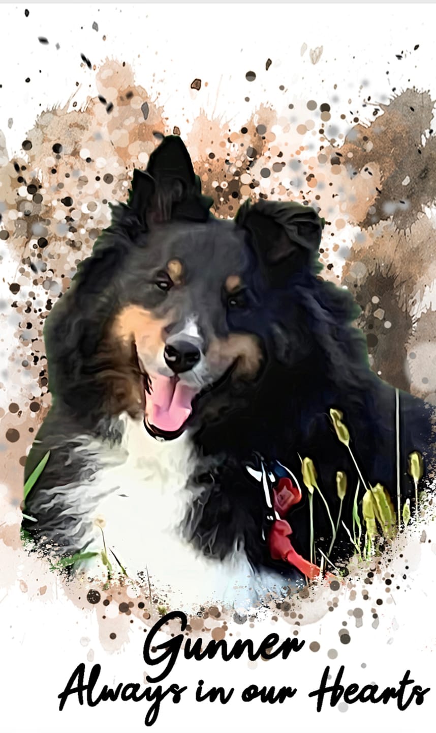 Customer photo review of Personalized Pet Art - Canvas