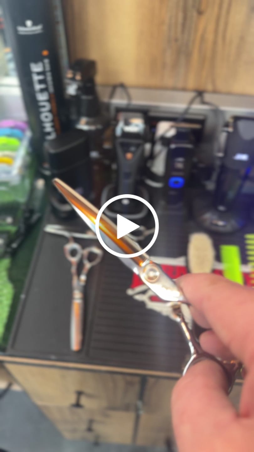 Customer video review of MIYABI
