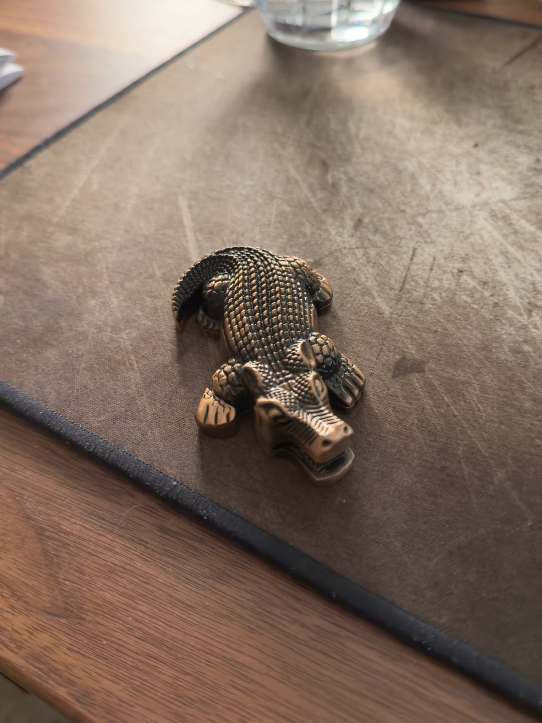 Customer photo review of Crocodile Torch