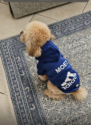 Customer photo review of Felpa "Adidog" Blu Personalizzabile con nome