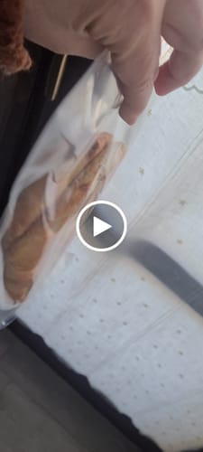 Customer video review of Focaccine Low Carb Extreme