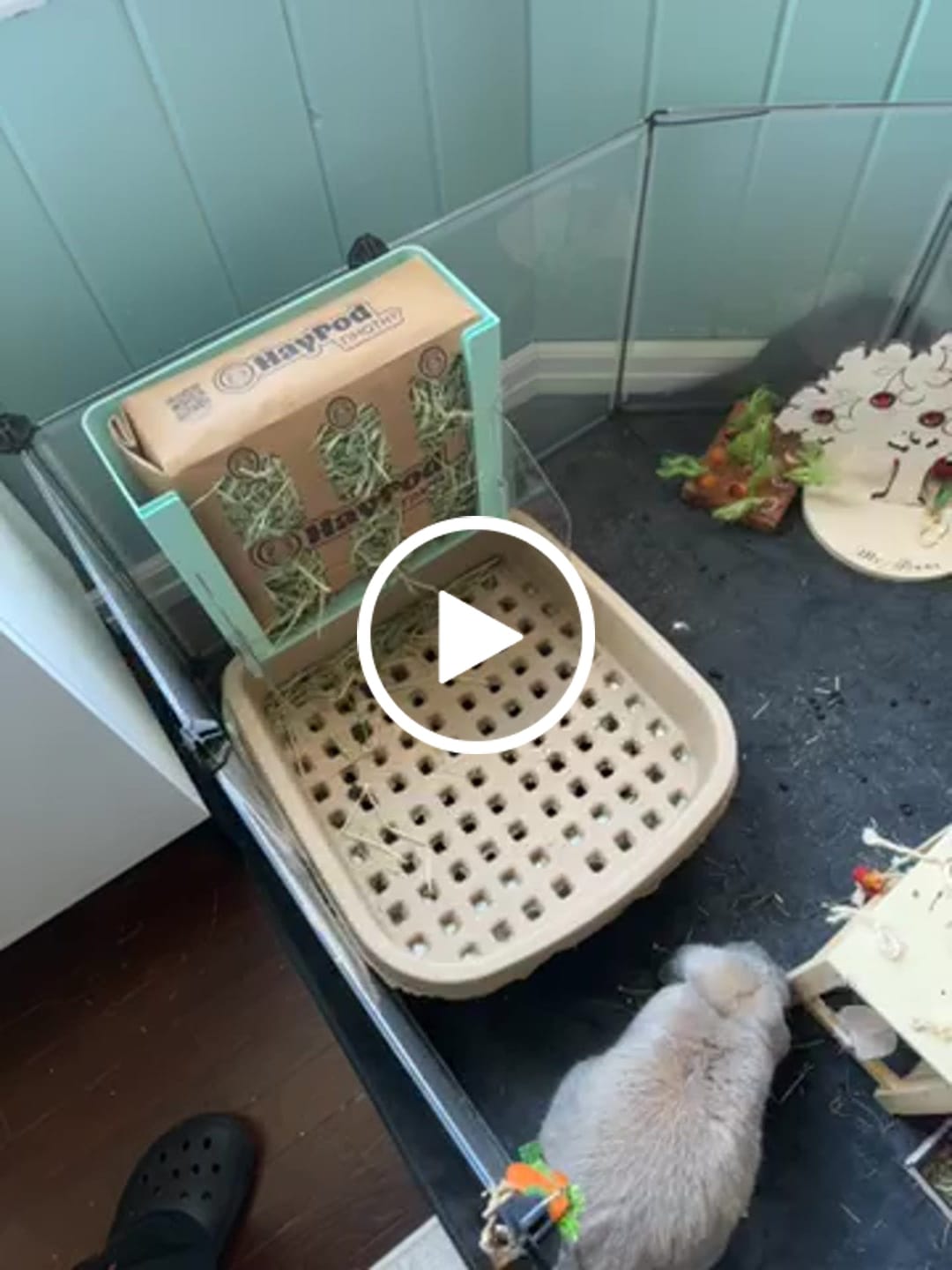 Customer video review of BunnyLet Refills - WaffleTrays & Liner Bags (2 Month Supply!)