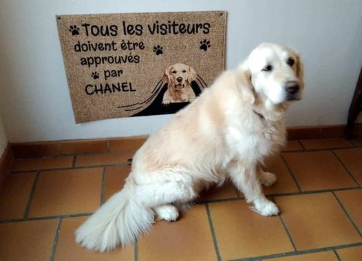 Customer photo review of Visiteur approuvé - Paillasson personnalisé