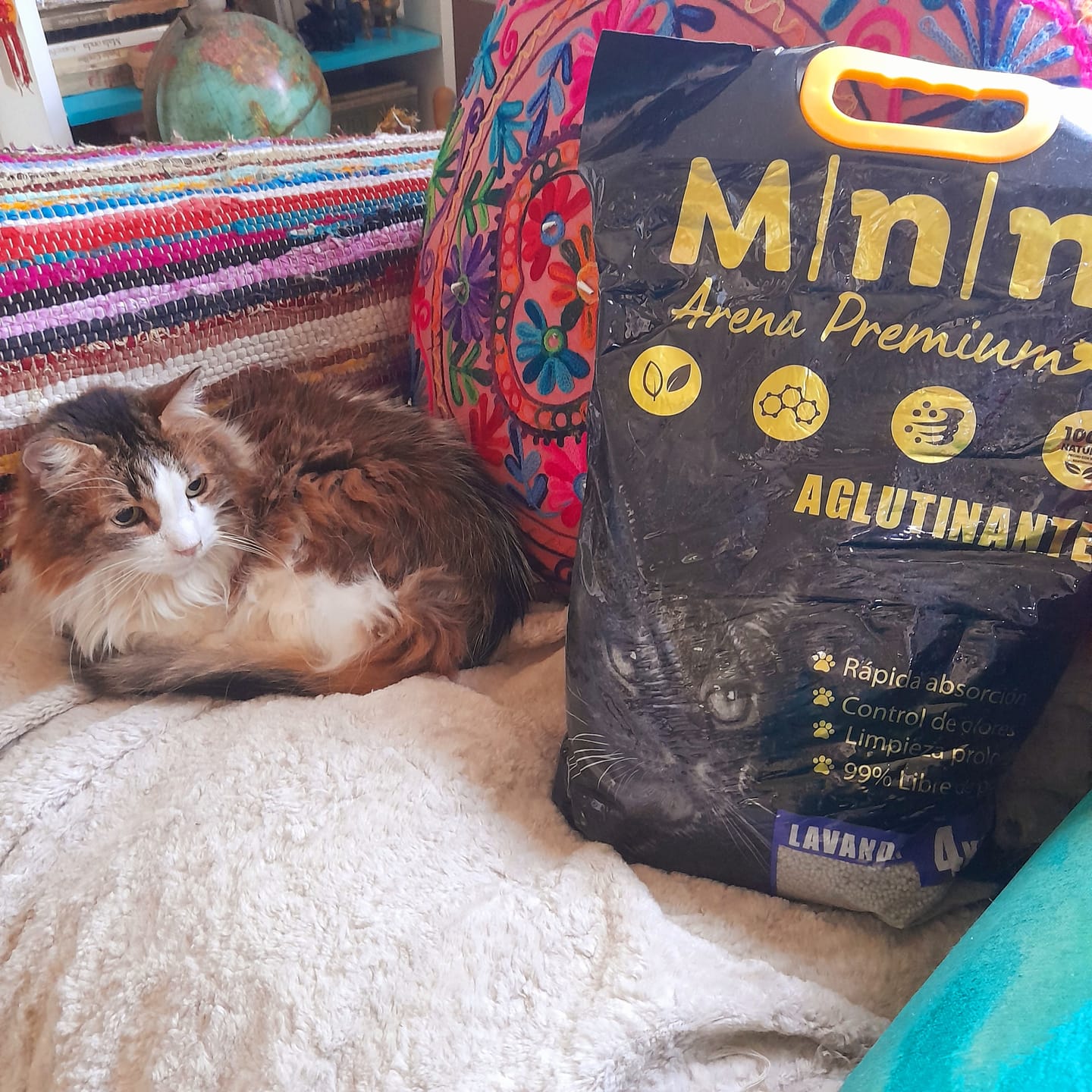 Customer photo review of Arena Minino Aglutinante 20kg