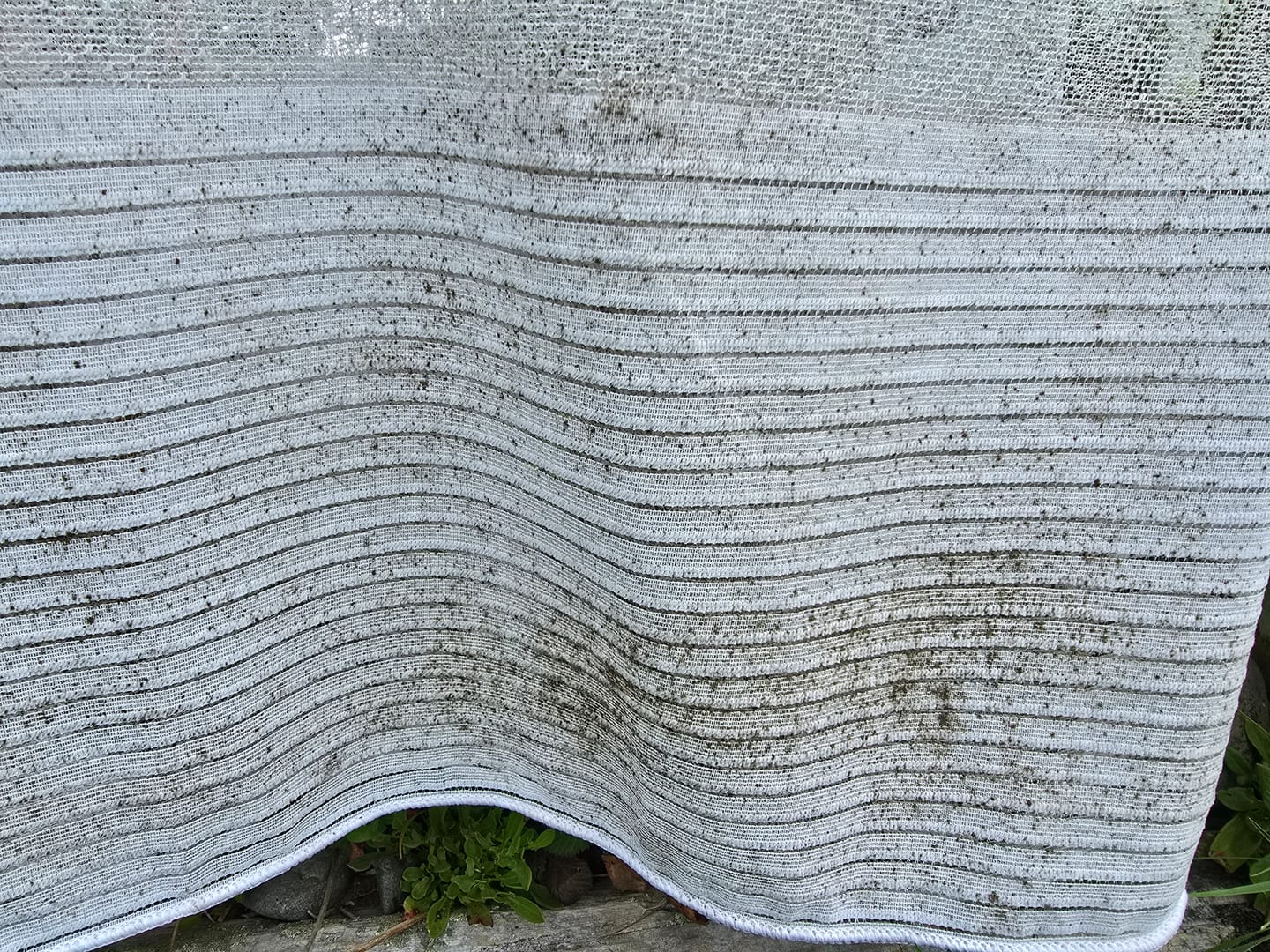 Customer photo review of Curtain Wizard Instant Mould & Mildew Remover