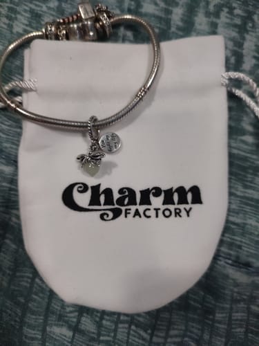 Customer photo review of Charm Luciernaga Evangeline "Iluminas Mi Vida" Fluorescente