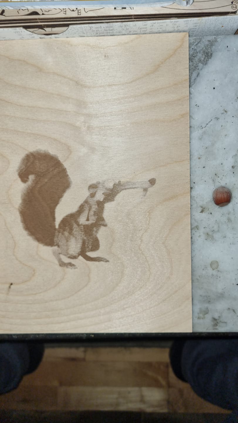 Customer photo review of Raiser for Longer RAY5 Engraver