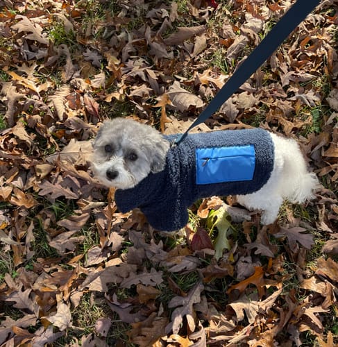 Customer photo review of Monkey Fleece Jacket