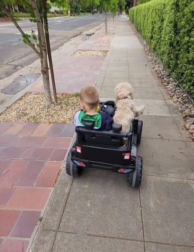Customer photo review of 12V Kids Ride On Jeep Car w/Parent Remote Control - Black
