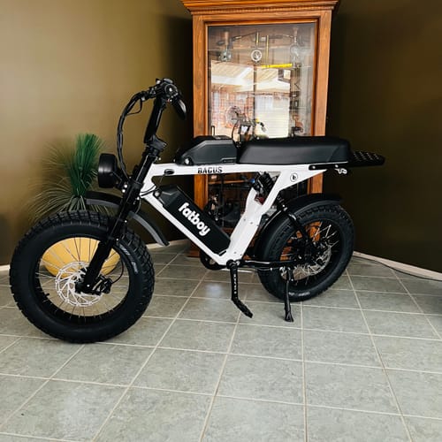 Customer photo review of The Bagus eBike
