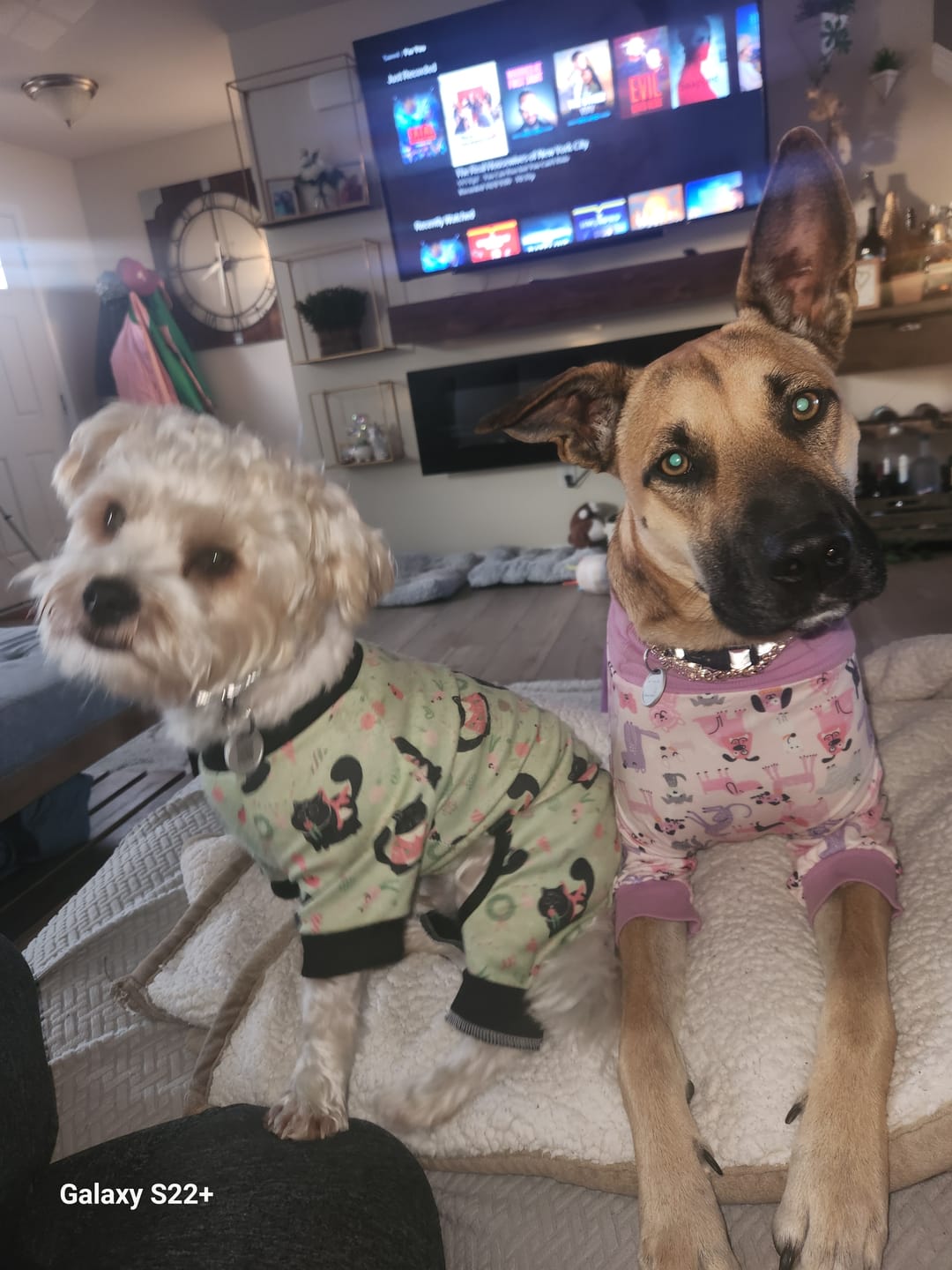 Customer photo review of Small Bully Stick Ring