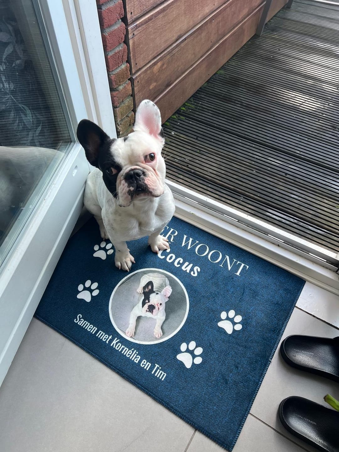 Customer photo review of Hier woont - Gepersonaliseerde huisdier deurmat