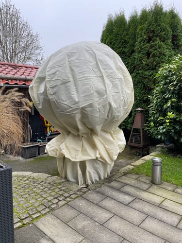Customer photo review of Winterschutz für Palmen "Mammut Window"  H 360 x B 250 cm Ø 160 cm