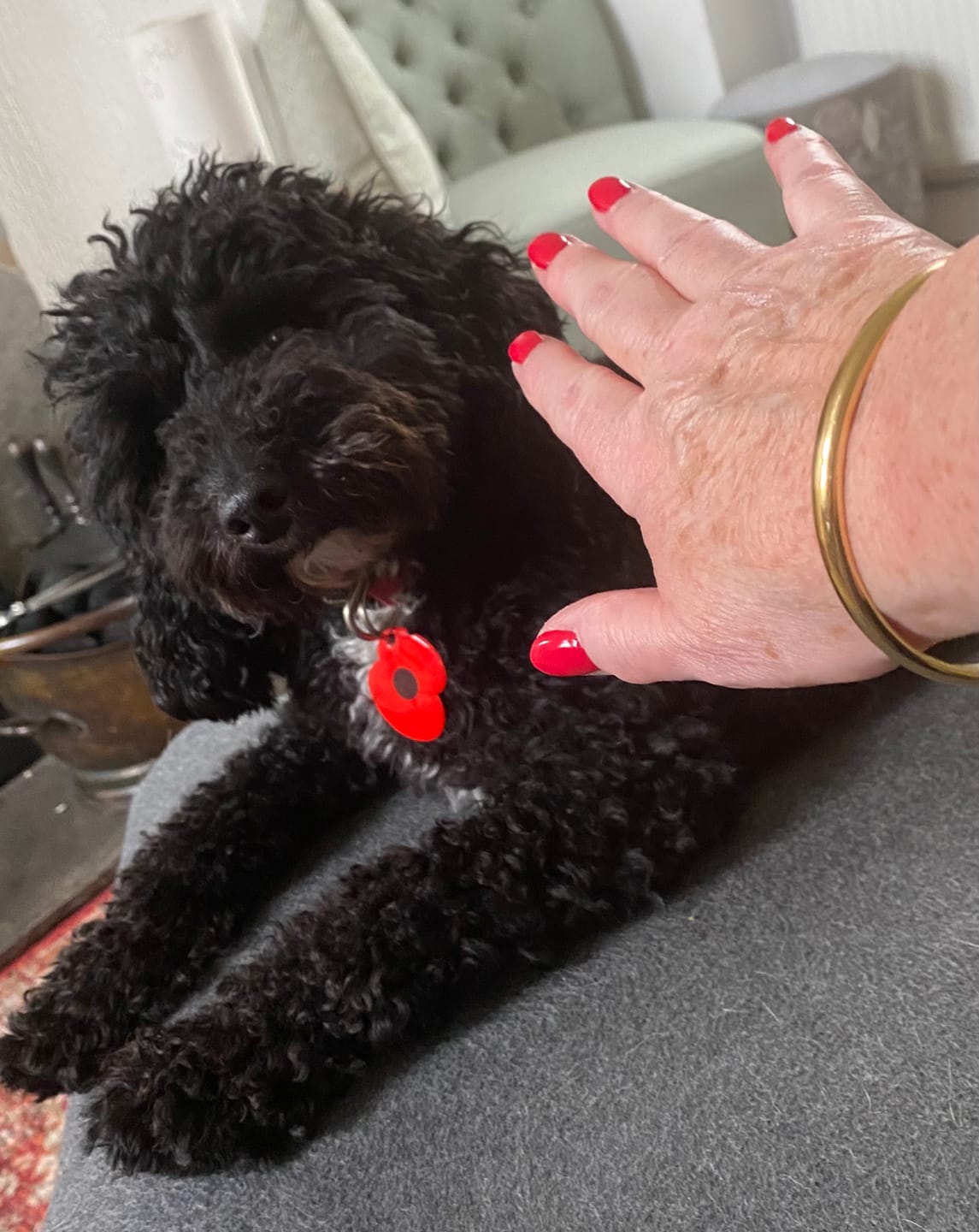Customer photo review of Classic Chunky Gold Bangle