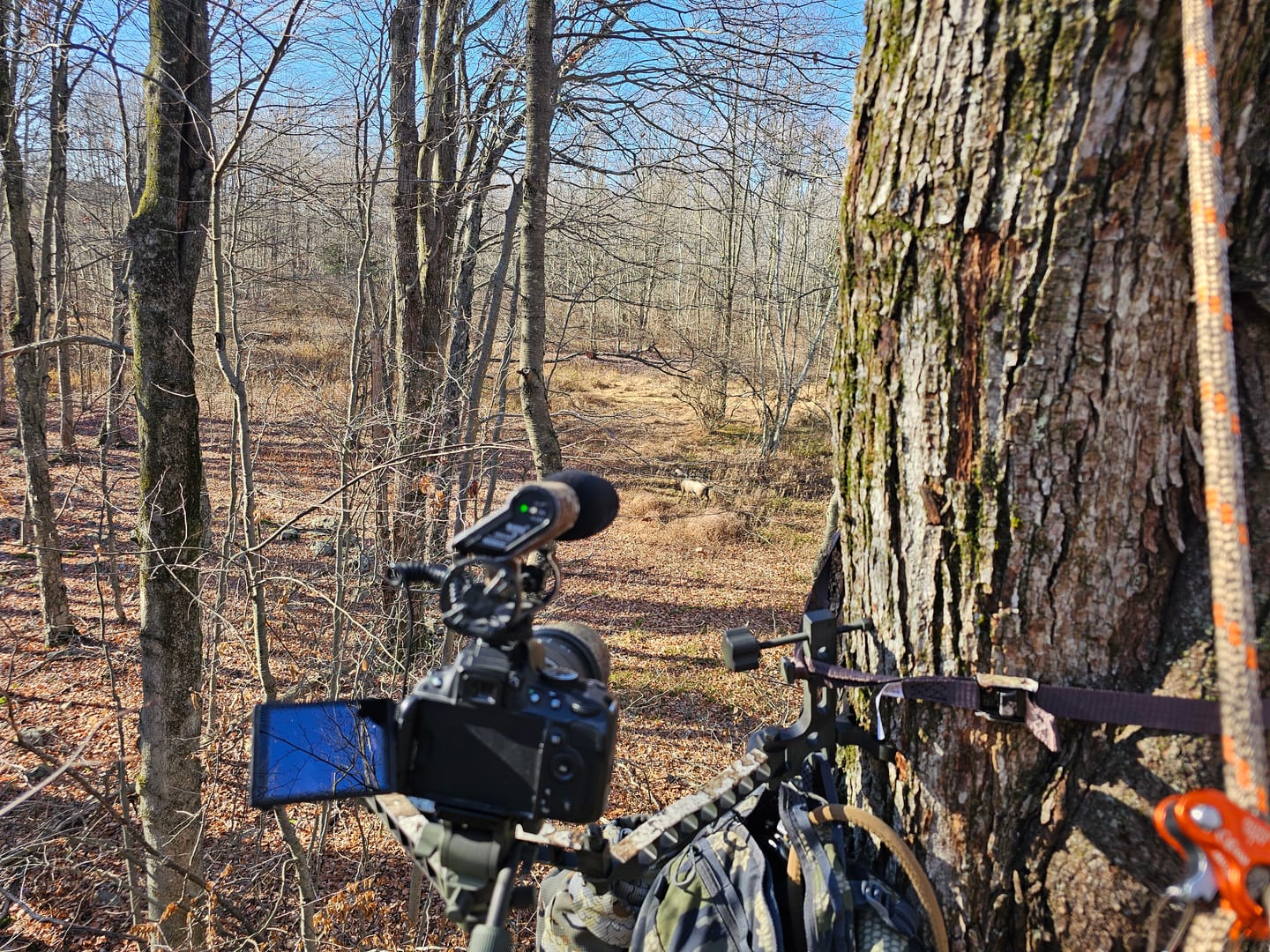 Customer photo review of CAMERA ARM