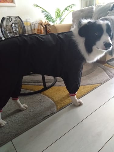 Customer photo review of Short Leg Nylon Trouser Suit