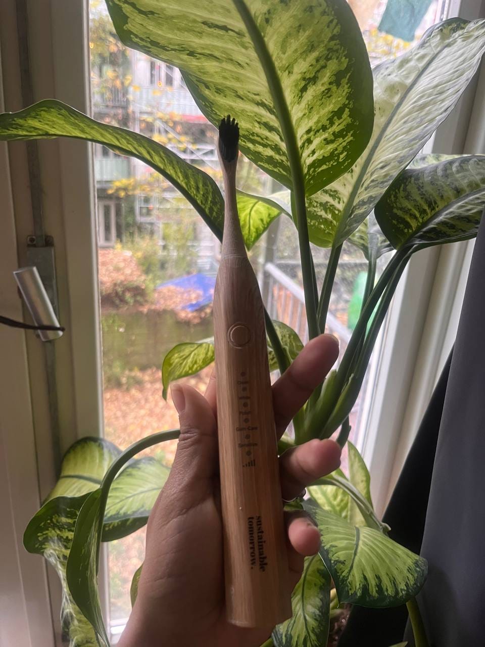 Customer photo review of Zen Bamboo Electric Toothbrush