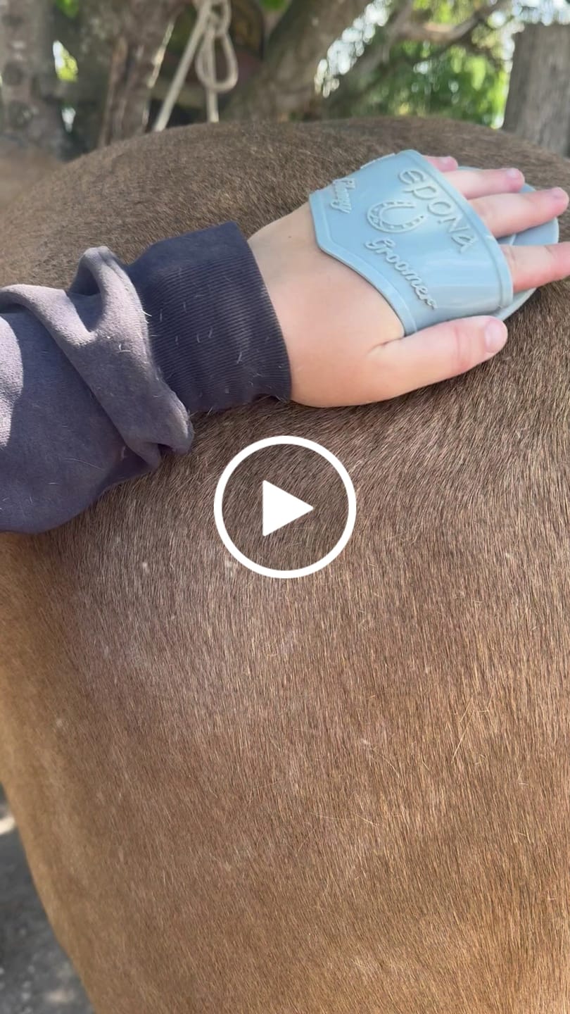 Customer video review of Flexible Glossy Groomer