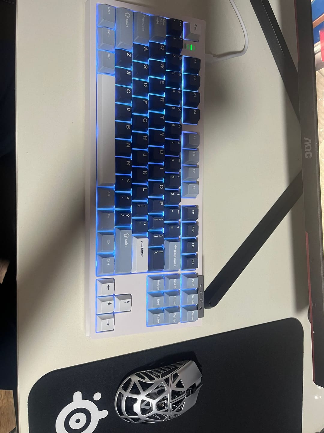 Customer photo review of Darmoshark Top87 Mekanik Klavye