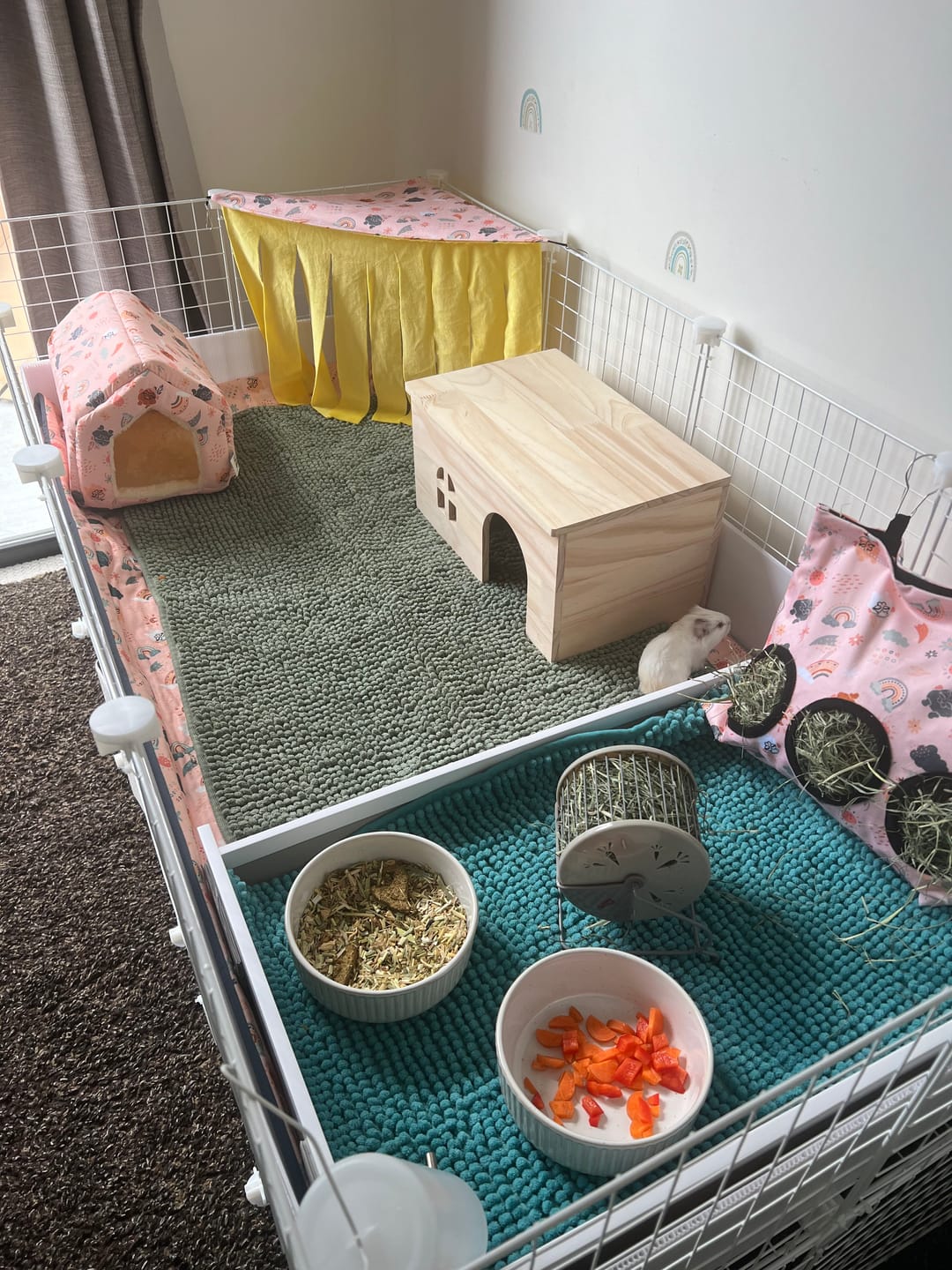 Customer photo review of 2 x 4 Cage Stand for Ozzy C&C Cages