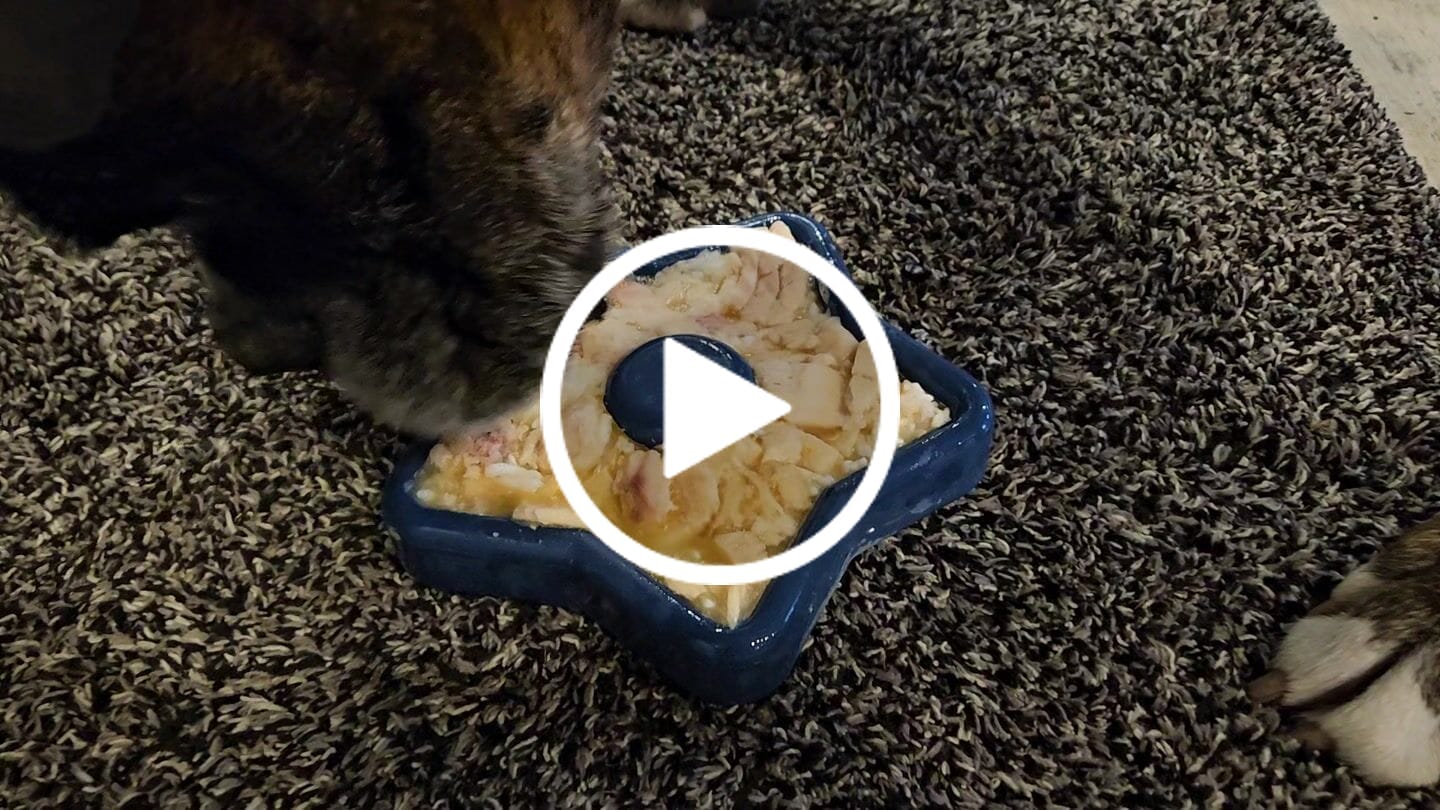 Customer video review of FreezStar - Long-Lasting Star Chew