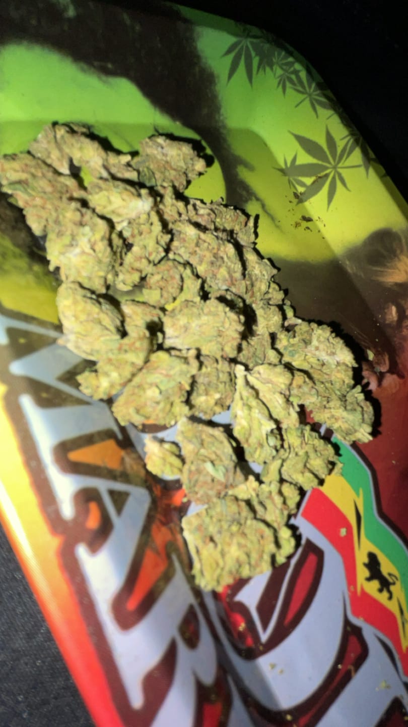 Customer photo review of Exotic Micros