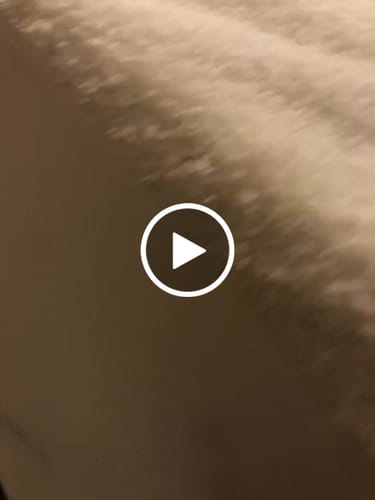 Customer video review of Waterproof Mattress Protector- PU Material
