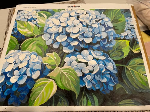 Customer photo review of Clustered Hydrangeas