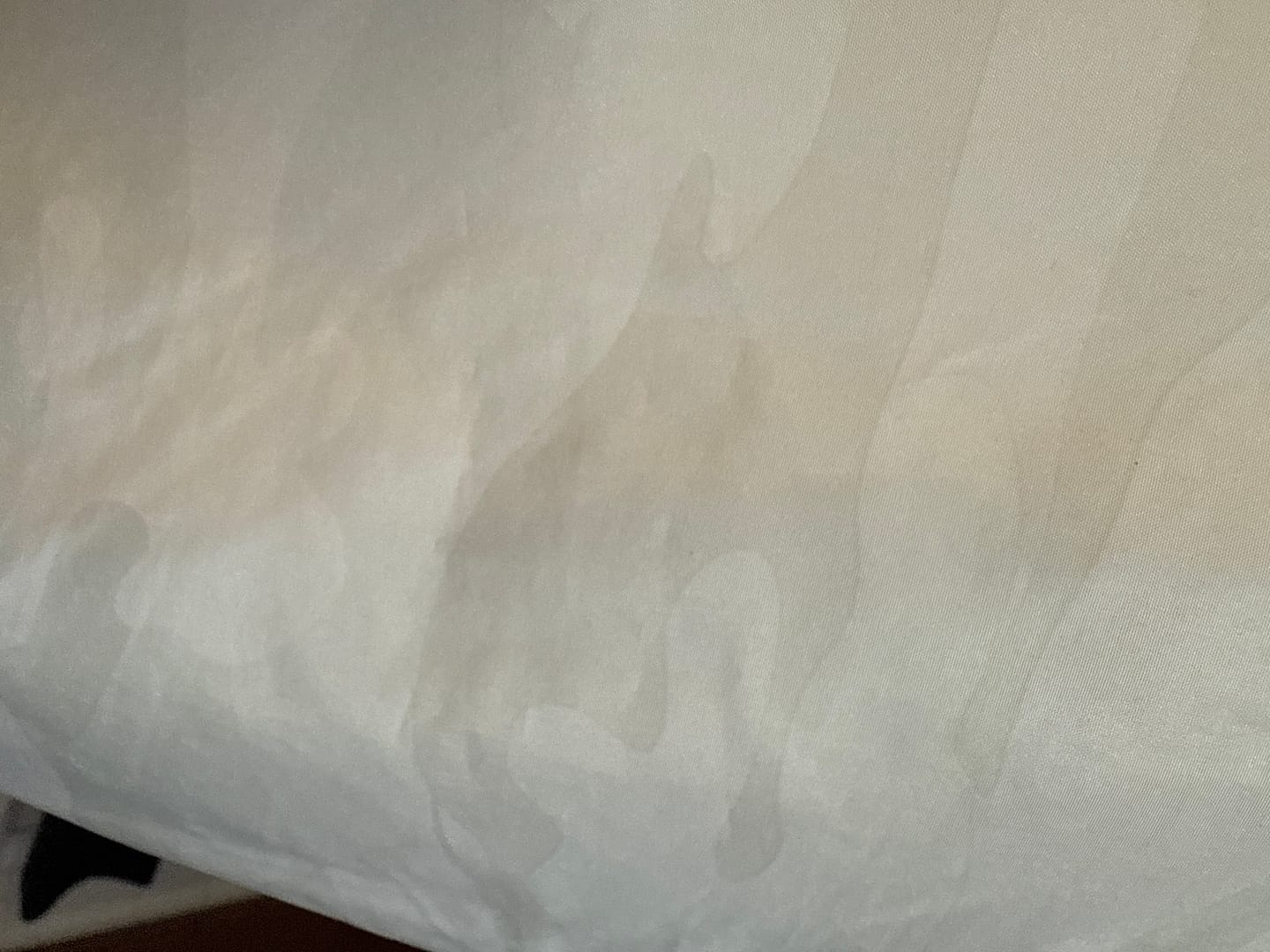 Customer photo review of Snow Camo - Windbreaker