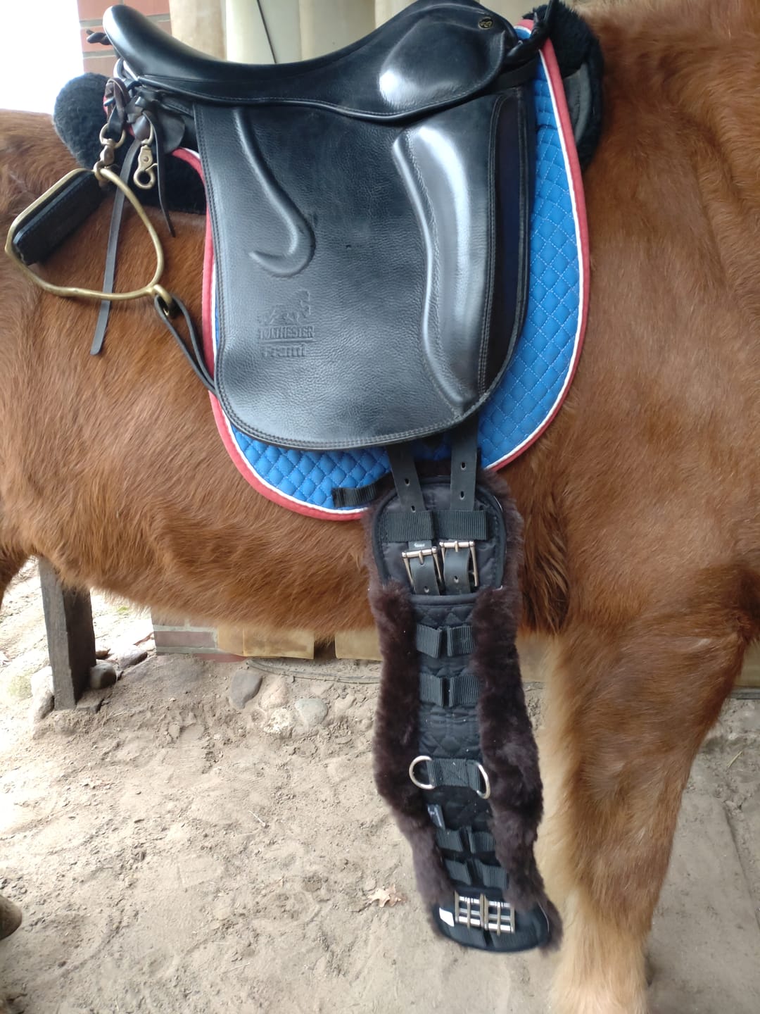 Customer photo review of Engel - Lammfell Sattelgurt Dressur Gurt 45 - 70 cm