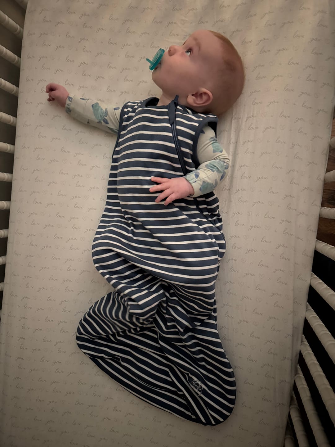 Customer photo review of 4 Season® Classic Baby Sleeping Bag, Merino Wool & Organic Cotton, Navy Blue