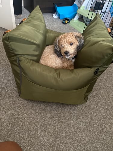 Customer photo review of Sleeping Paws Pooch Pad