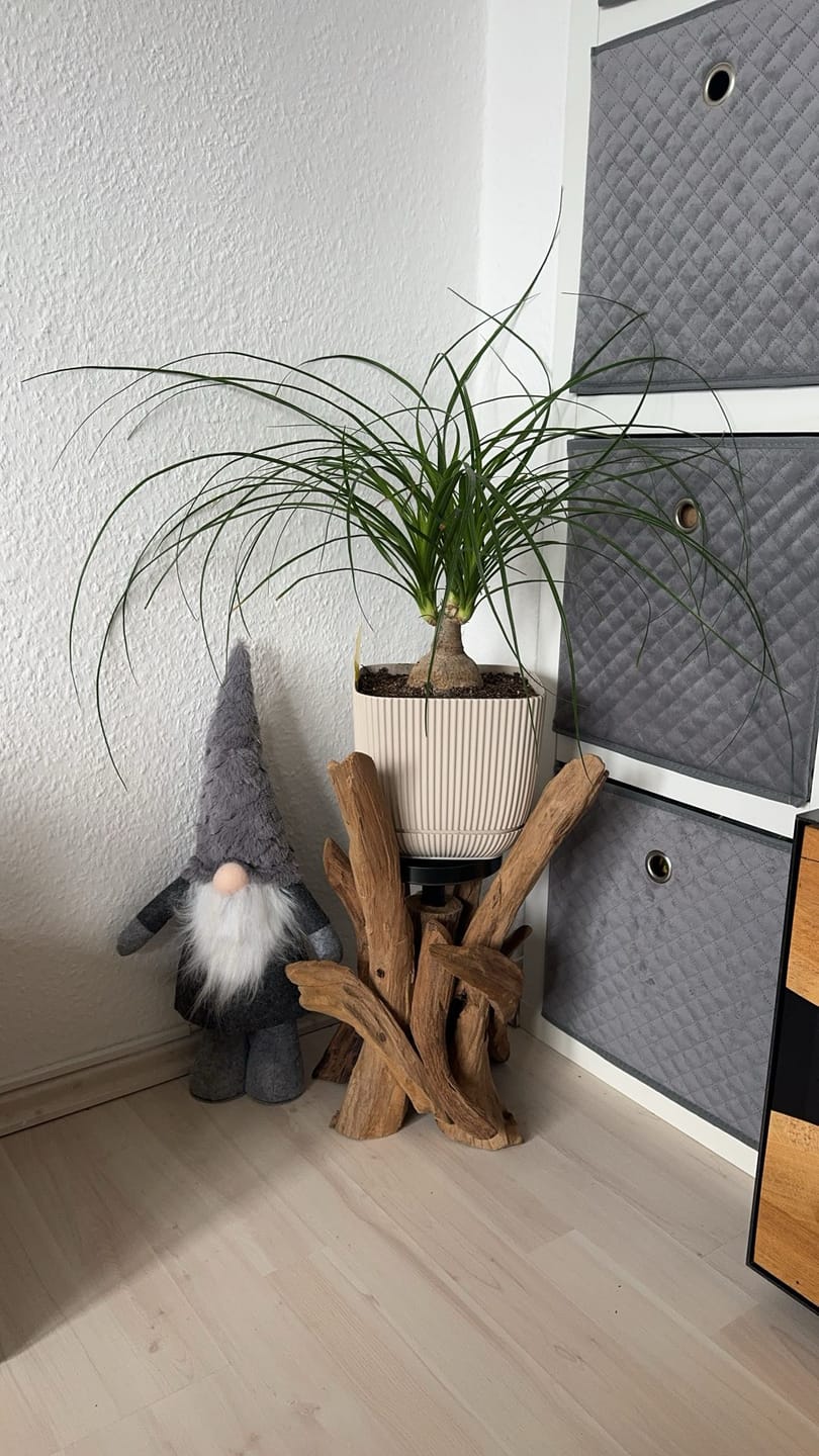 Customer photo review of Treibholz Kerzenständer VILLA