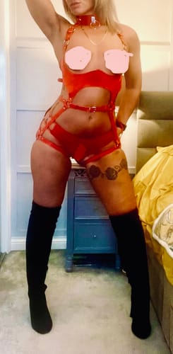 Customer photo review of Quinn's Harness Set