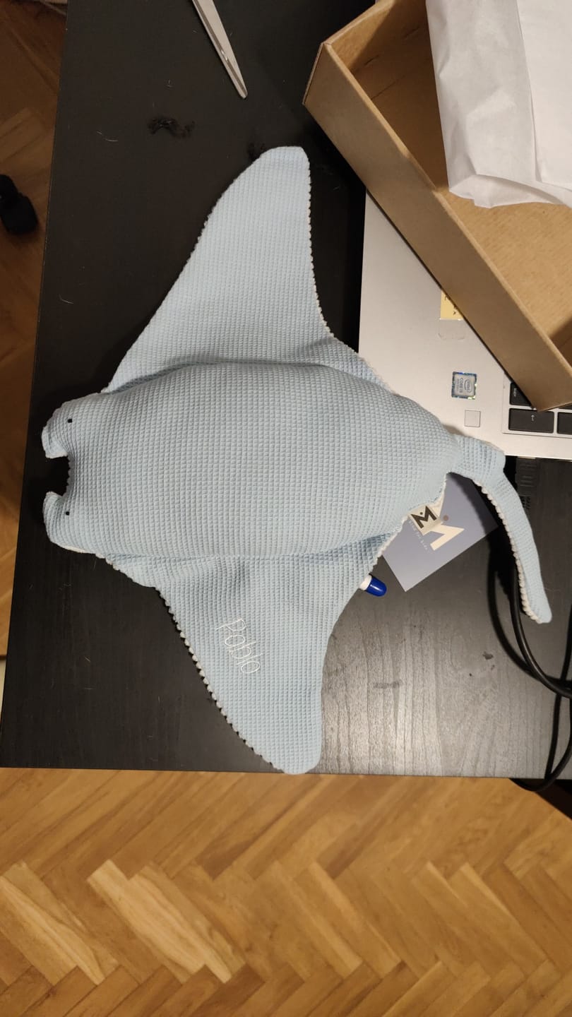 Customer photo review of Peluche mantarraya Maya - azul