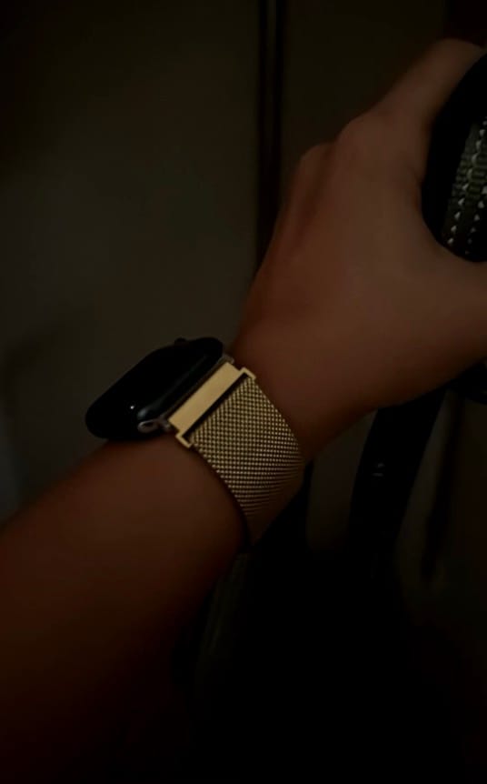 Customer photo review of NEU Apple Watch Metallarmband "Lassana"