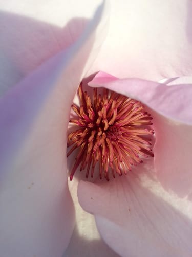 Customer photo review of 8x8 Giclee Fine Art Prints