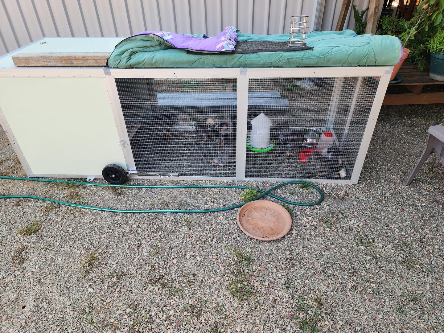 Customer photo review of Galvanised Mesh Floor for Chicken Coop