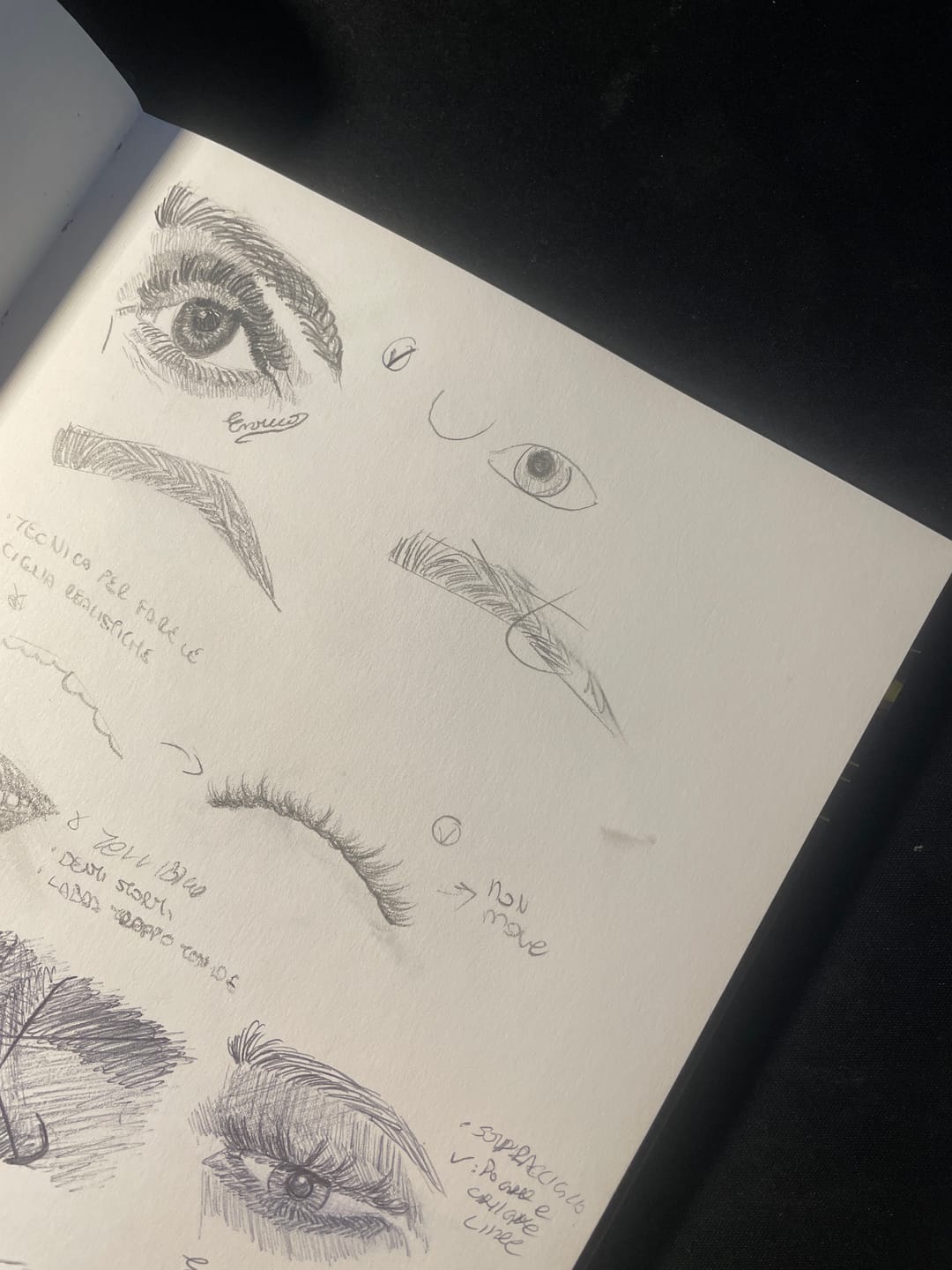 Customer photo review of Sketchbook • Golden Hour