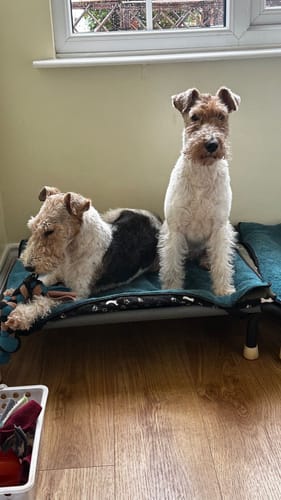 Customer photo review of Fleece Toys