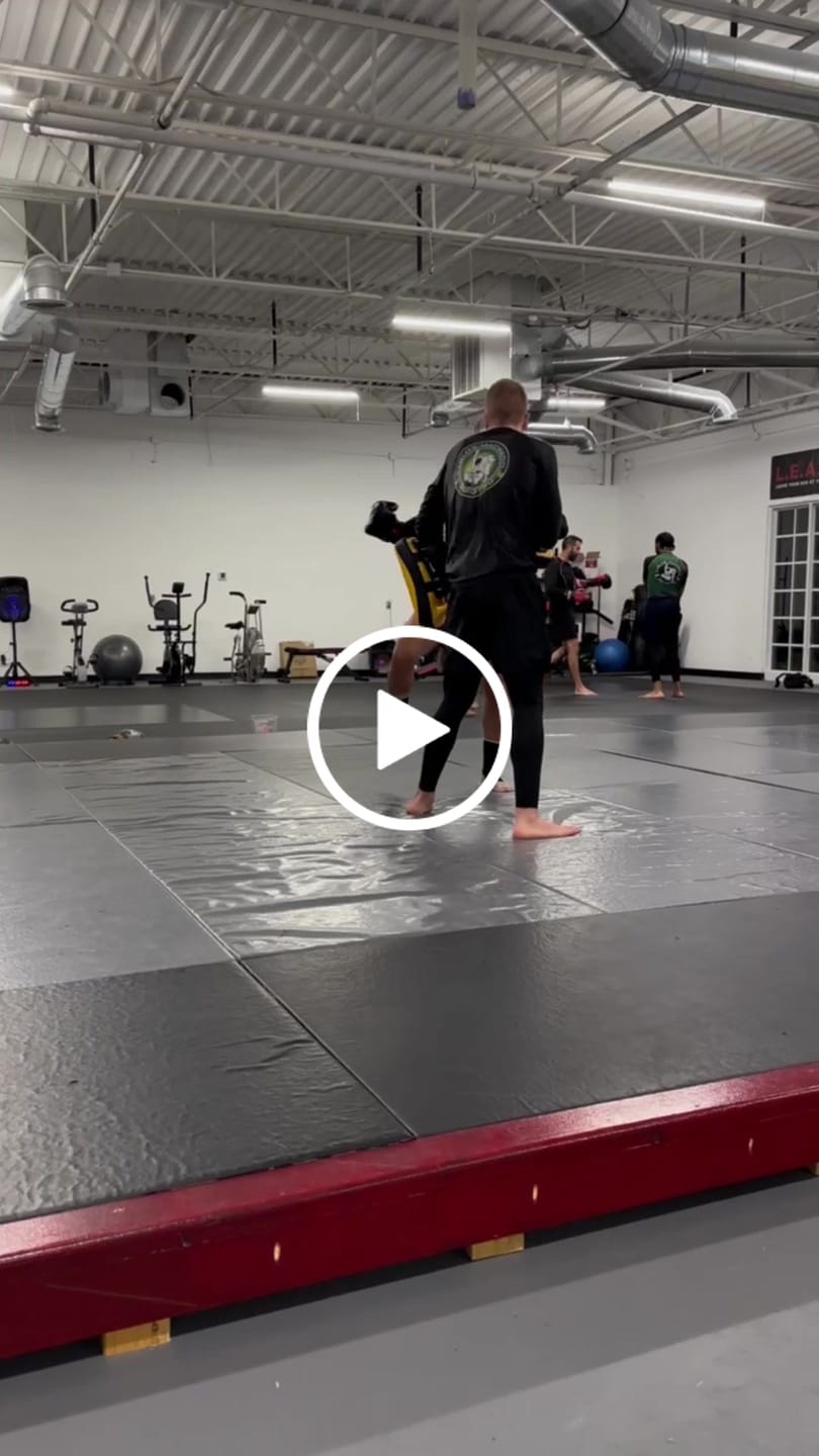 Customer video review of Fairtex KPLC5 Muay Thai Kickboxing Lightweight Thai Pads