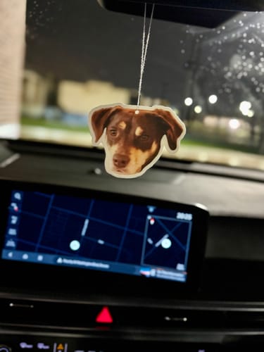 Customer photo review of Custom Shape Air Freshener