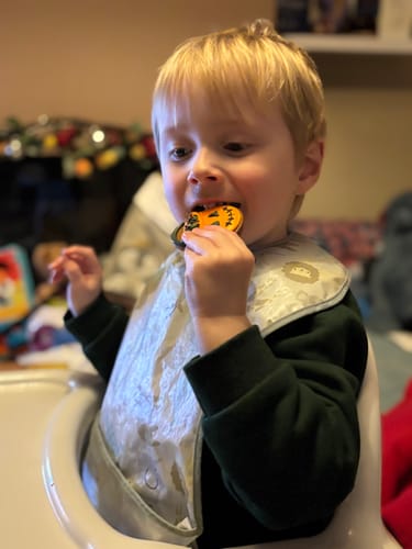 Customer photo review of Trick or Treat Biscuit Box