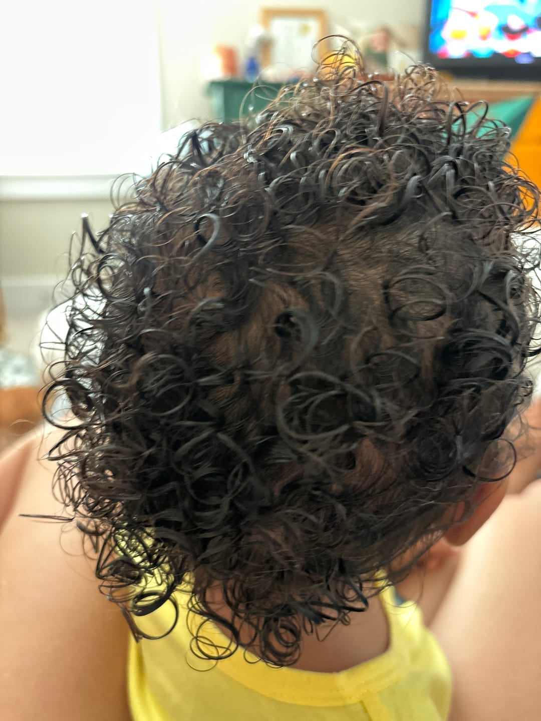 Customer photo review of LAVISH Leave-In Conditioning Styler