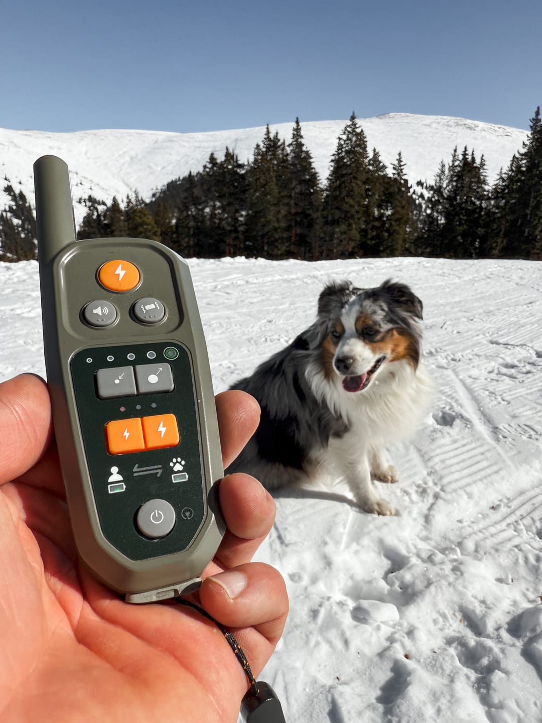 Customer photo review of Roam 350™