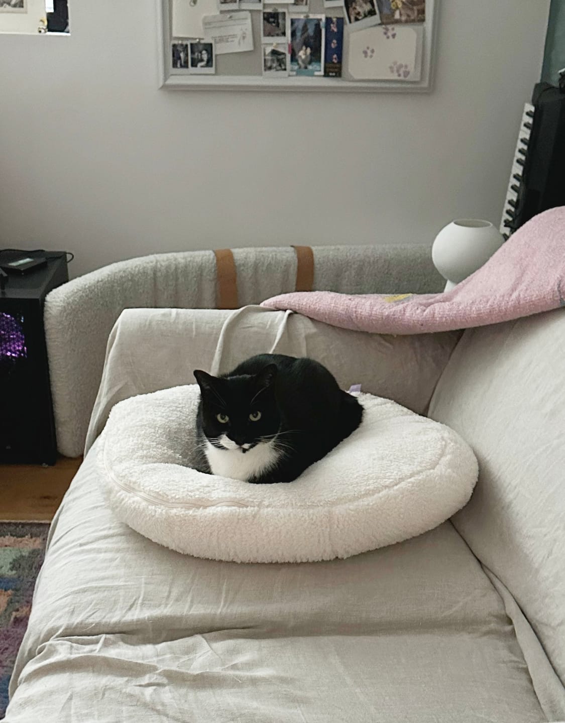 Customer photo review of Marshmallow Pudding Bed